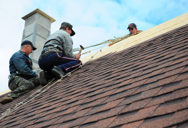 Best Local Roofing Companies  in Wood River, NE