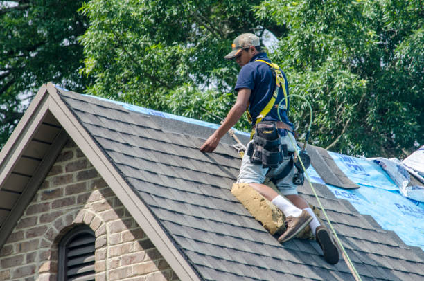 Best Storm Damage Roof Repair  in Wood River, NE